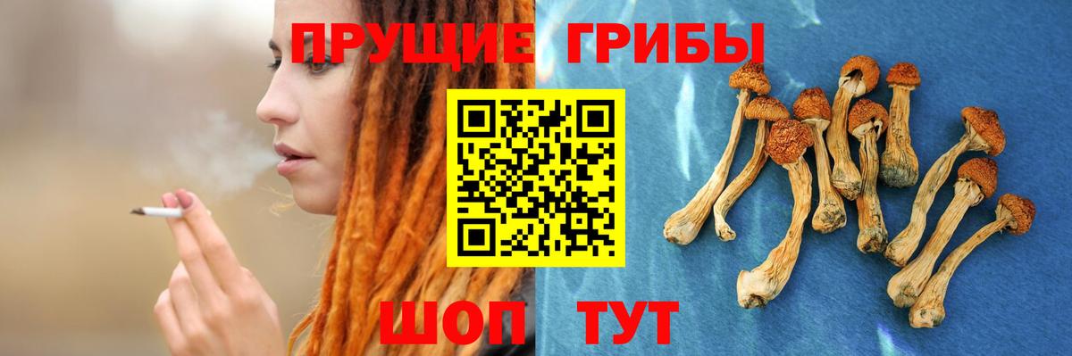 Псилоцибиновые грибы Magic Shrooms  Вход с VPN  Псилоцибиновые грибы Magic Shrooms  Прохладный 
